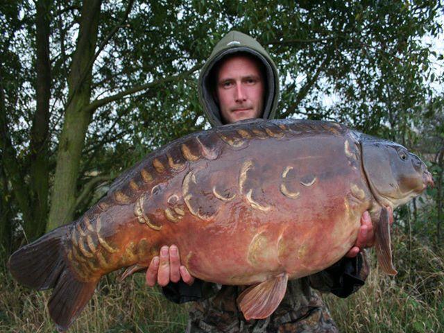 diverse adunate 2 - 7585810151495028197216226838006n.jpg